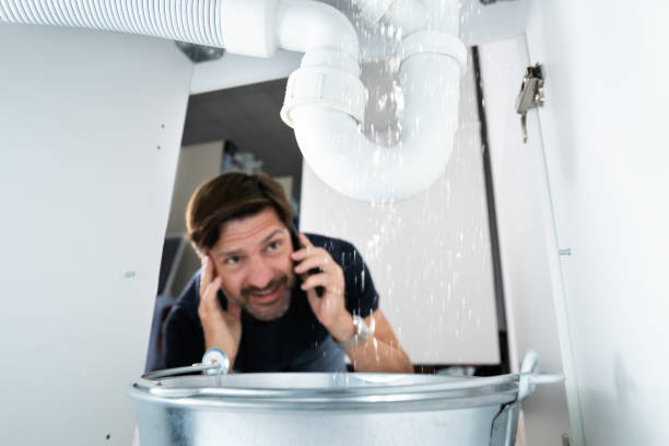 Best Drain Cleaning Services  in Kulpmont, PA